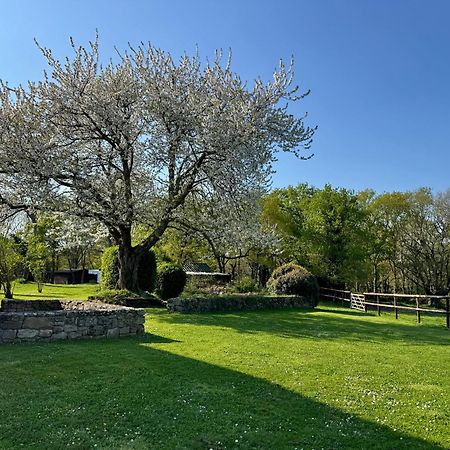 Готель Le Domaine Du Ganquis Belz Екстер'єр фото